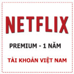 Netflix 1 năm